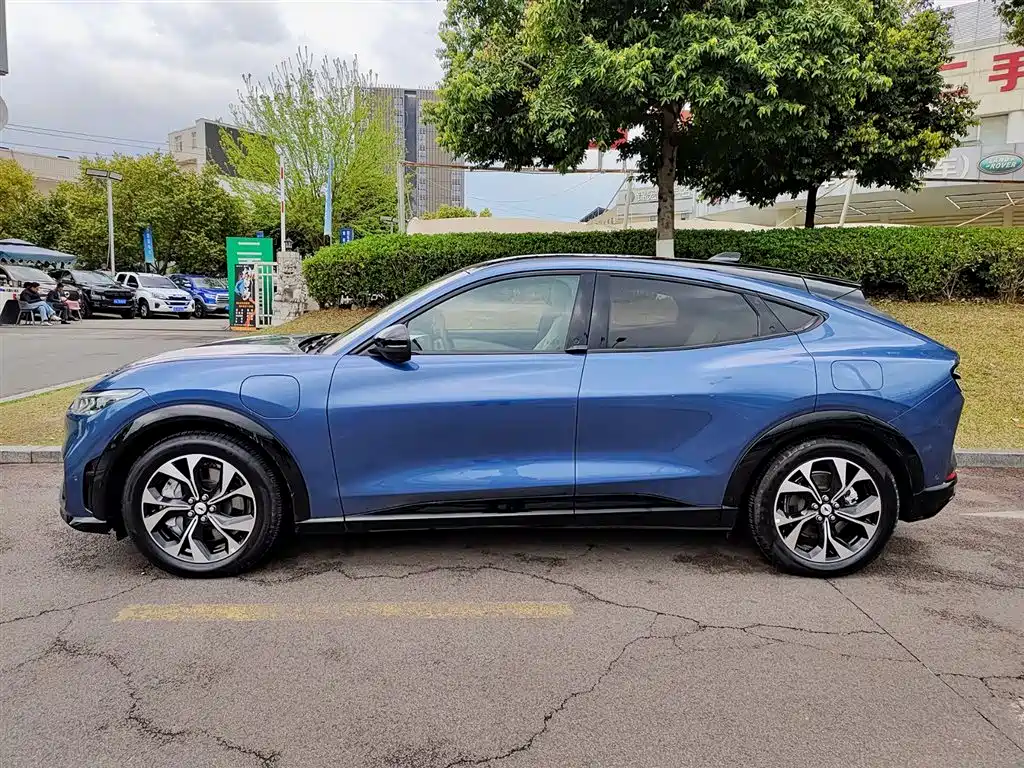 Ford E-horse 2021 Borderless rear-wheel drive luxury version with long battery life купить на сайте DeffCars