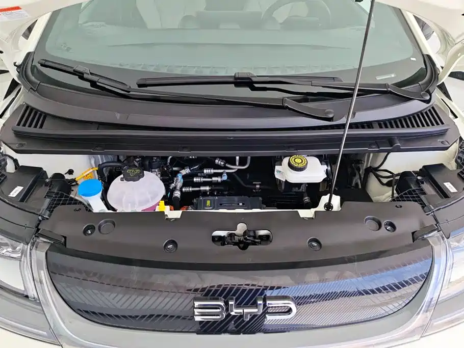 Dolphin 2025 420km Free Edition купить на сайте DeffCars