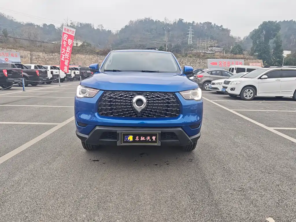 Cannon 2021 2.0T commercial version automatic diesel four-wheel drive elite long box GW4D20M купить на сайте DeffCars