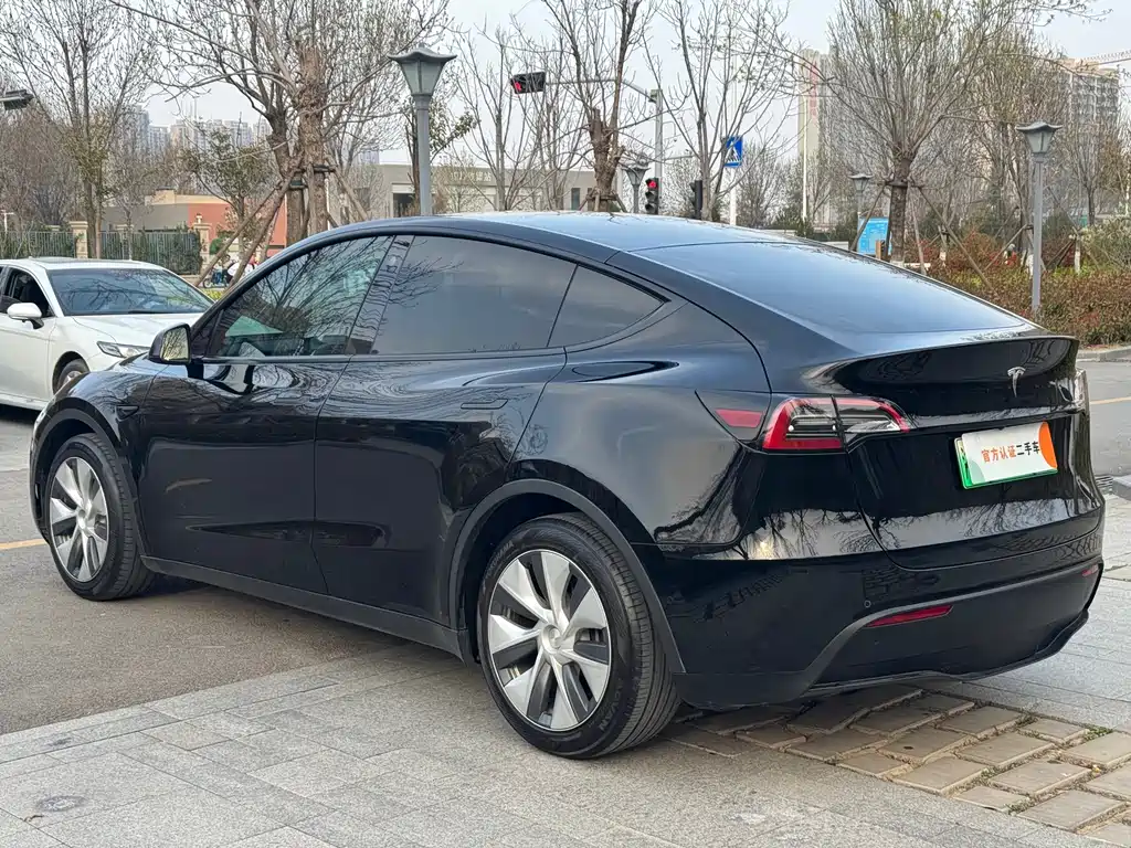 Model Y 2021 standard range rear-wheel drive version купить на сайте DeffCars