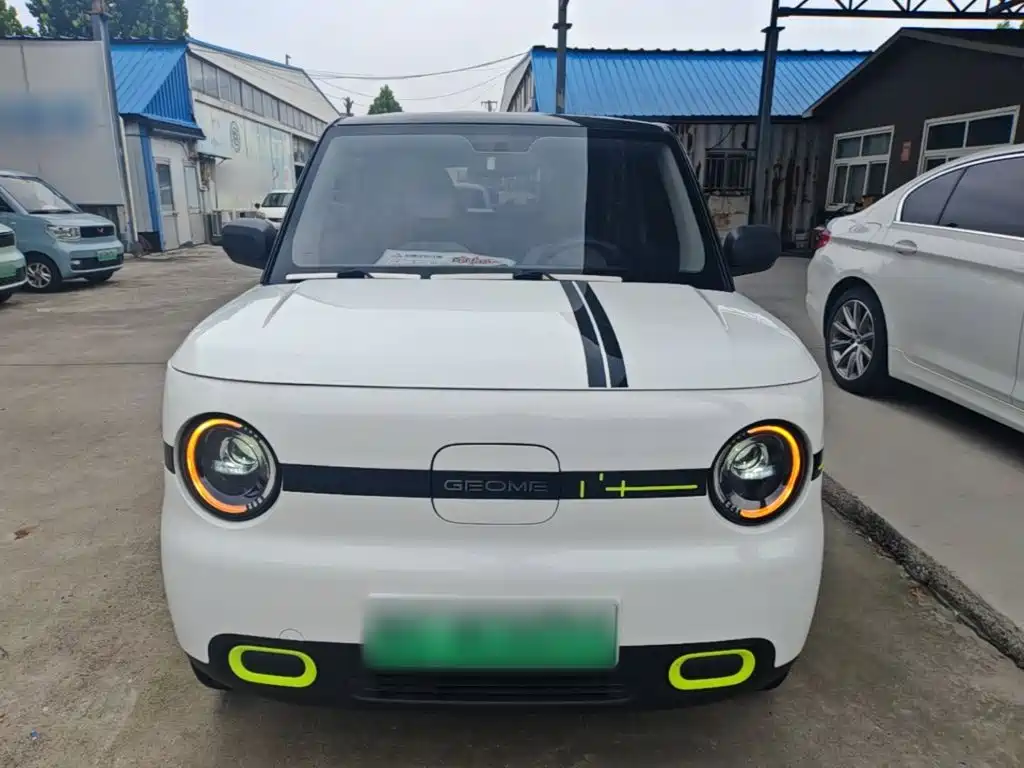 Panda (Geome) 2025 mini 210km Yuan Grizzly купить на сайте DeffCars