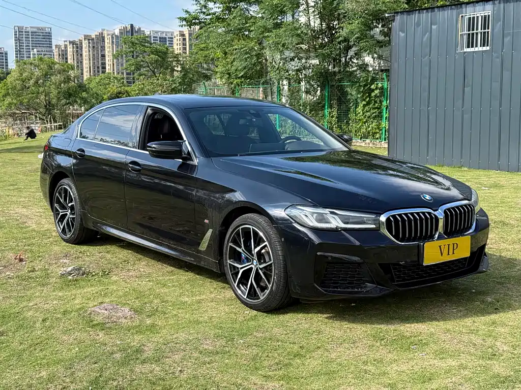 BMW 5 Series 2021 530Li Leading M Sports Package купить на сайте DeffCars
