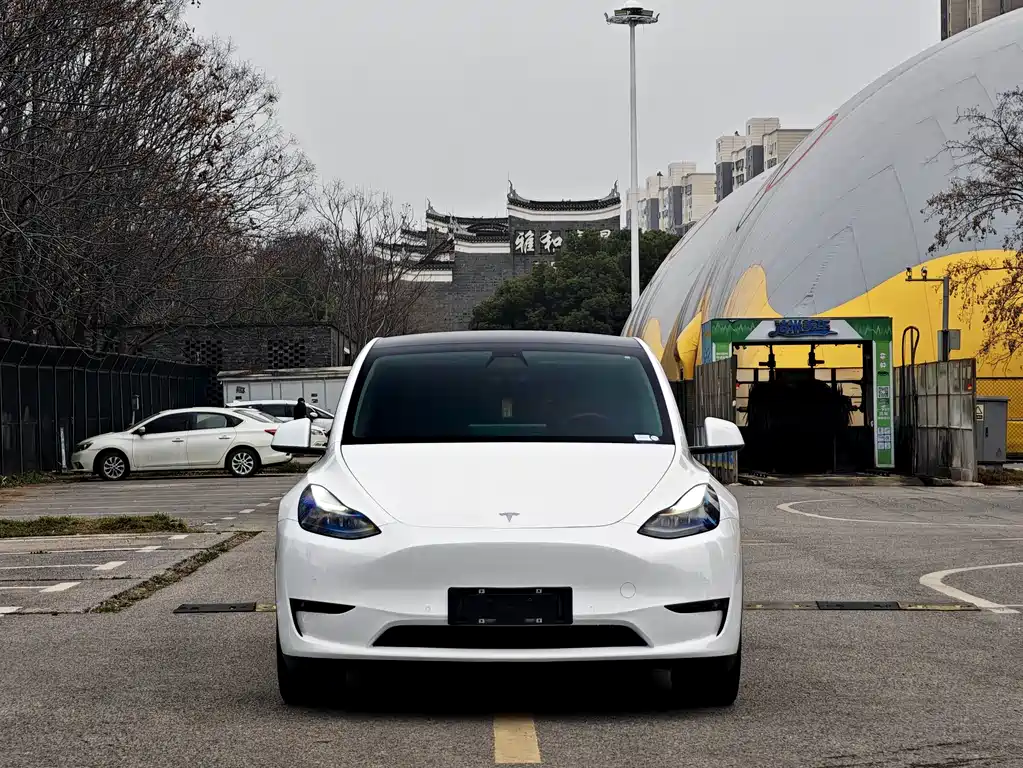 Model Y 2021 Standard Range Rear Drive Edition купить на сайте DeffCars