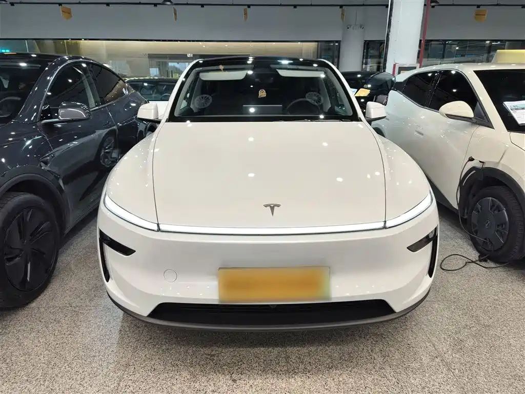 Model Y 2025 rear-wheel drive version купить на сайте DeffCars