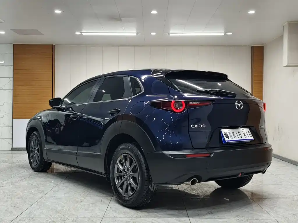 Mazda CX-30 2021 2.0L automatic Yayue type купить на сайте DeffCars