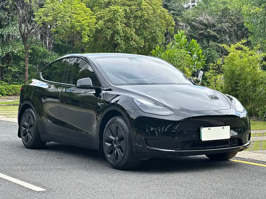 Model Y 2023 rear-wheel drive version купить на сайте DeffCars