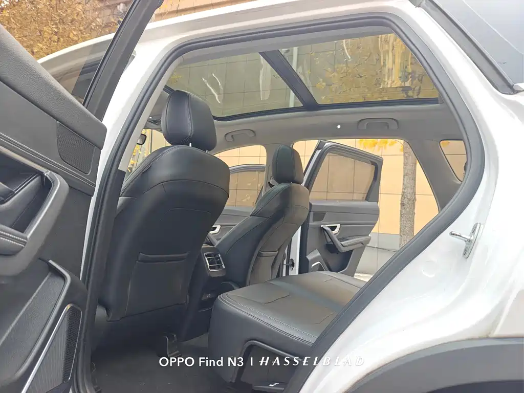 Song Pro 2019 1.5T automatic luxury model купить на сайте DeffCars