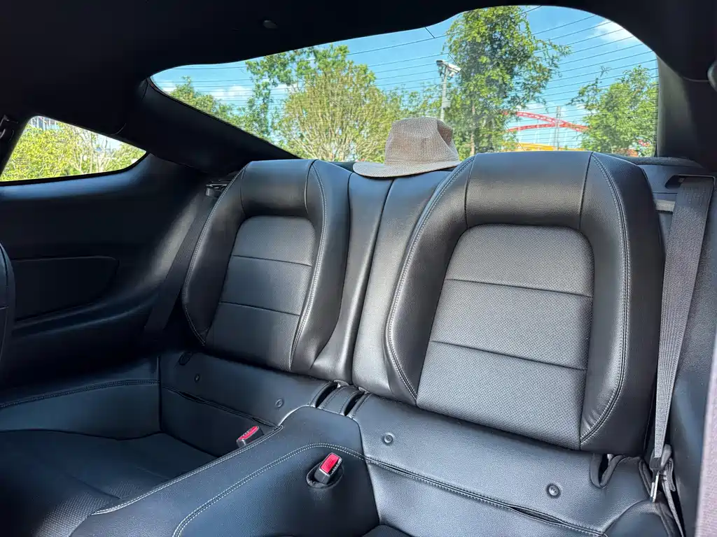 Mustang 2017 2.3T Performance Edition купить на сайте DeffCars