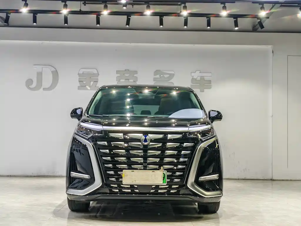 Denza D9 2024 DM-i 980 four-wheel drive premium model купить на сайте DeffCars