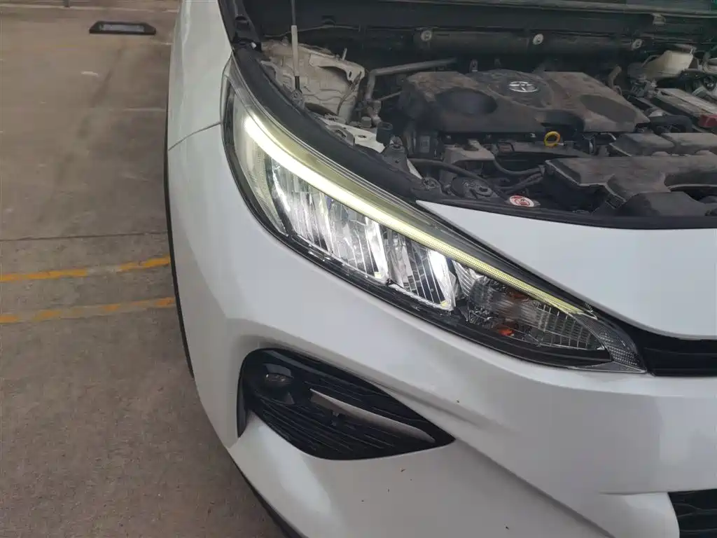 Wilanda 2020 2.0L CVT two-wheel drive luxury version купить на сайте DeffCars
