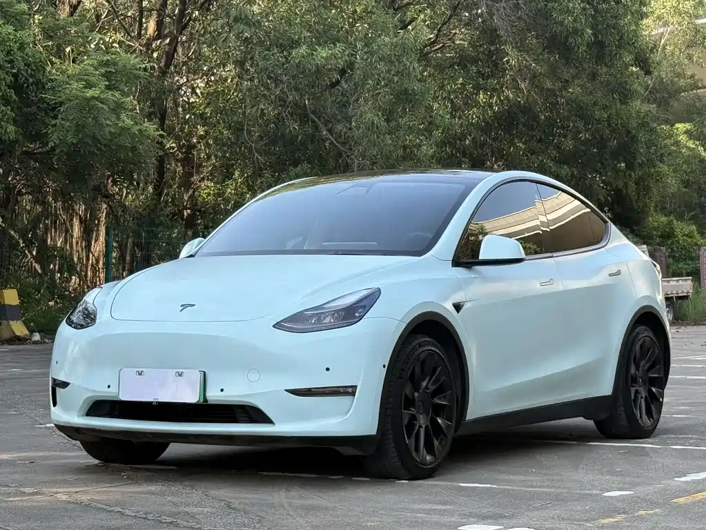 Model Y 2021 standard range rear-wheel drive version купить на сайте DeffCars