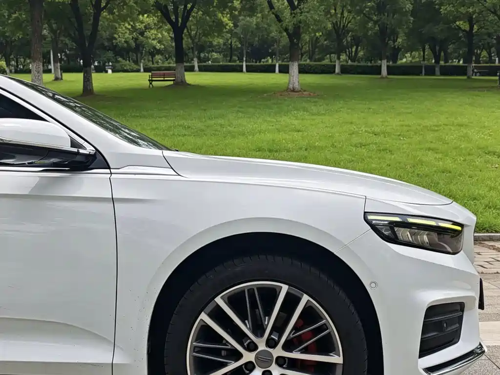 Xingrui 2021 2.0TD Premium Model купить на сайте DeffCars