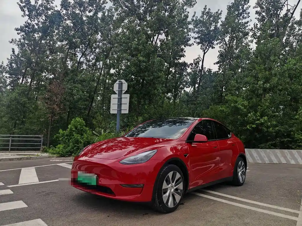 Model Y 2021 standard range rear-wheel drive version купить на сайте DeffCars
