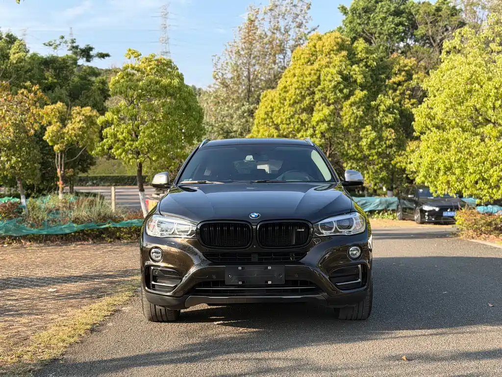 BMW X6 2017 xDrive35i leading model купить на сайте DeffCars