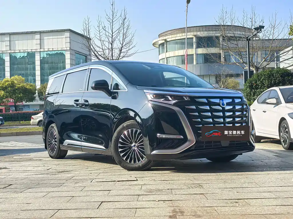 Denza D9 2024 DM-i 1050 Exclusive Type купить на сайте DeffCars