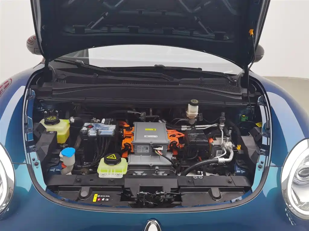 Euler Good Cat 2022 Morandi Edition 400km standard battery life luxury model ternary lithium купить на сайте DeffCars