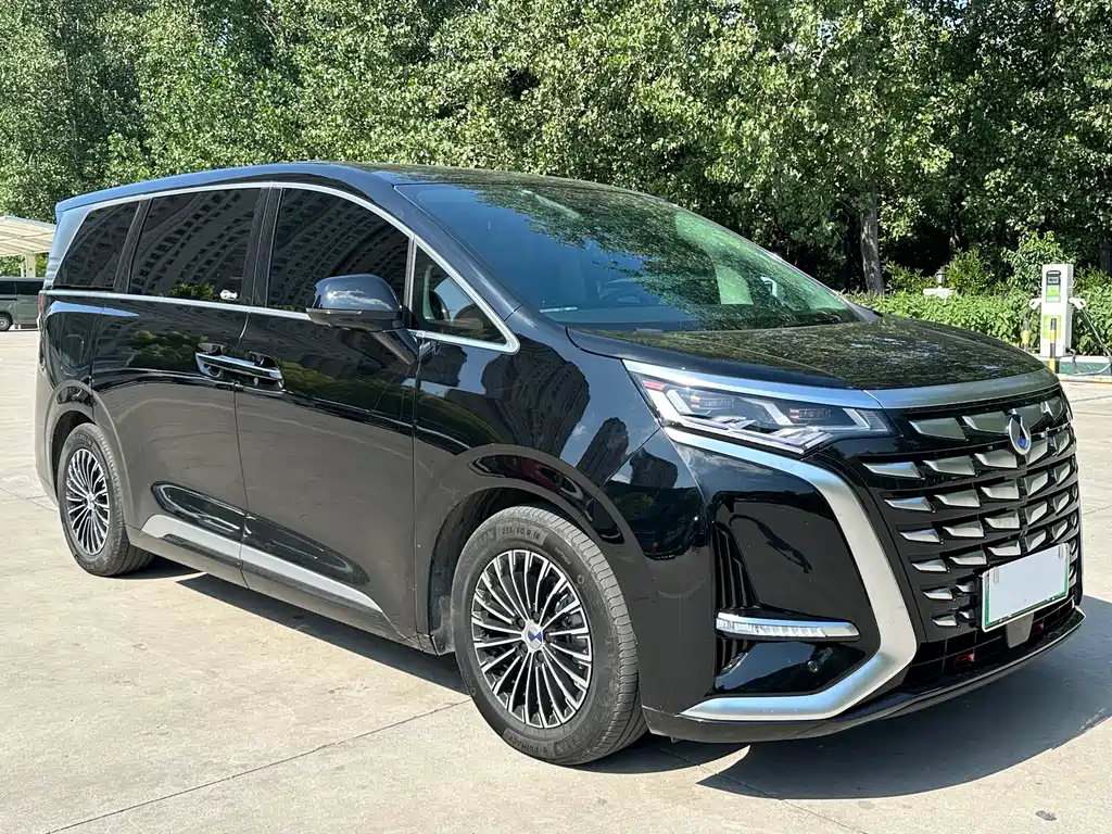 Denza D9 2024 DM-i 1050 Exclusive Type купить на сайте DeffCars