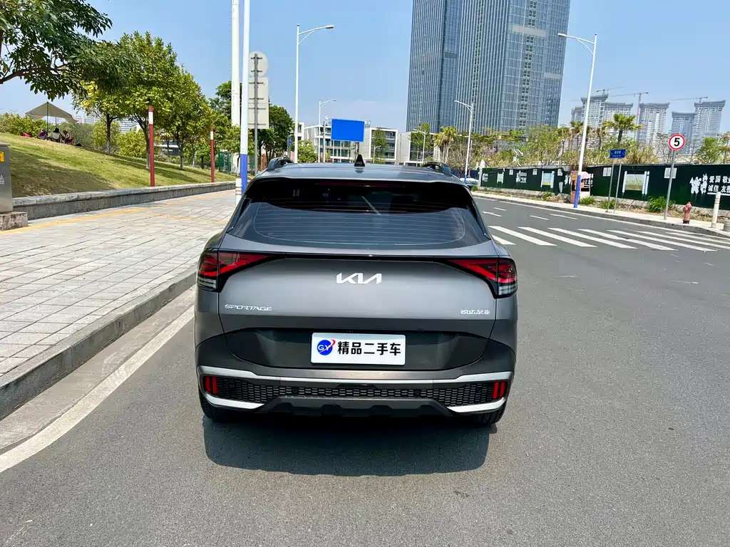 Lion Platinum expands the world 2023 2.0T two-wheel drive flagship version купить на сайте DeffCars