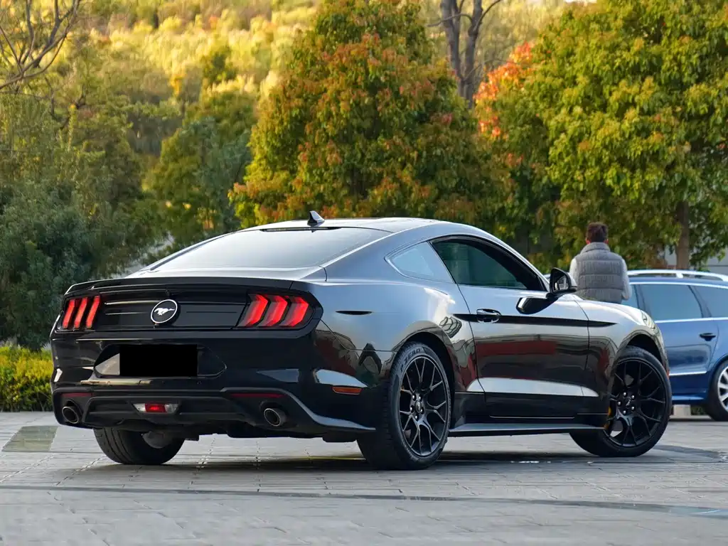 Mustang 2020 2.3L EcoBoost Performance Advanced Edition купить на сайте DeffCars