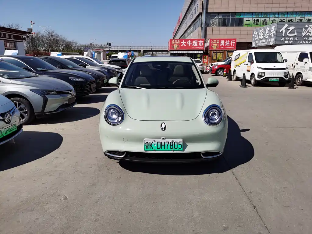 Euler Good Cat 2023 Model 401km Standard Range Honor Type Lithium Iron Phosphate купить на сайте DeffCars