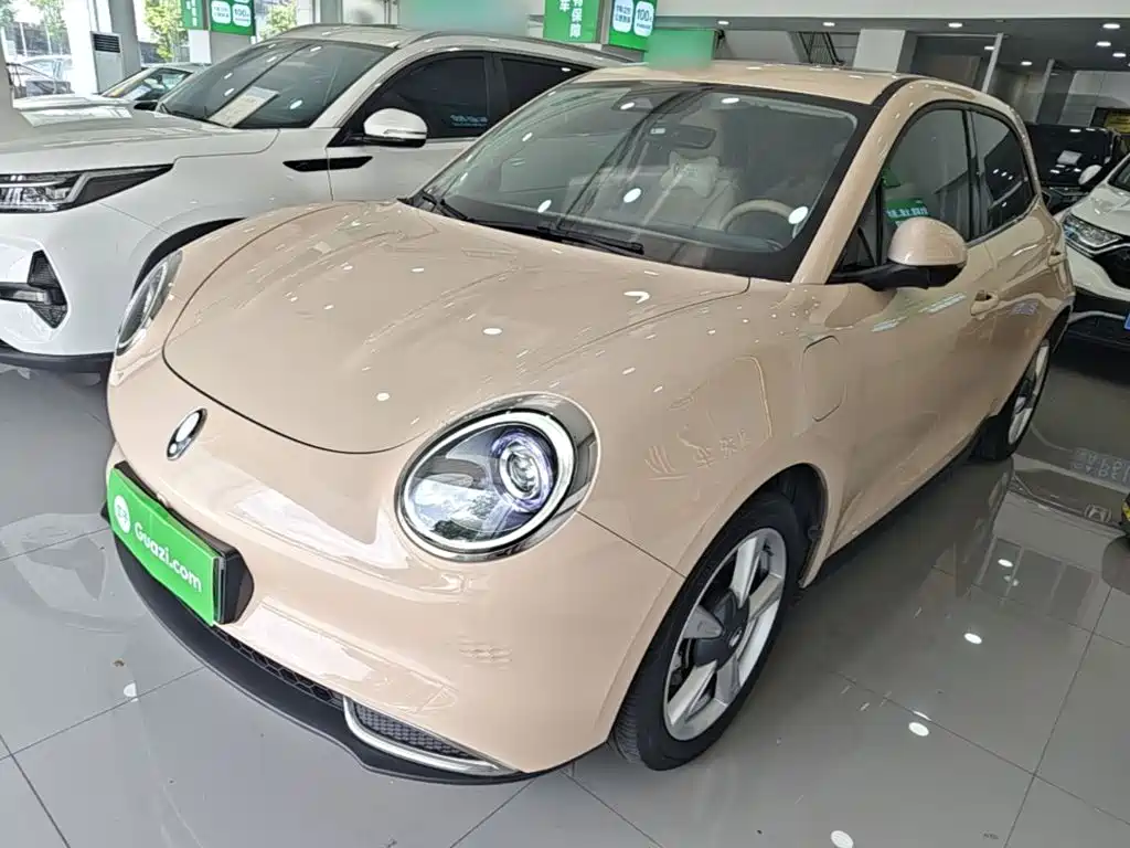 Euler Good Cat 2023 model 401km standard battery life premium type lithium iron phosphate купить на сайте DeffCars