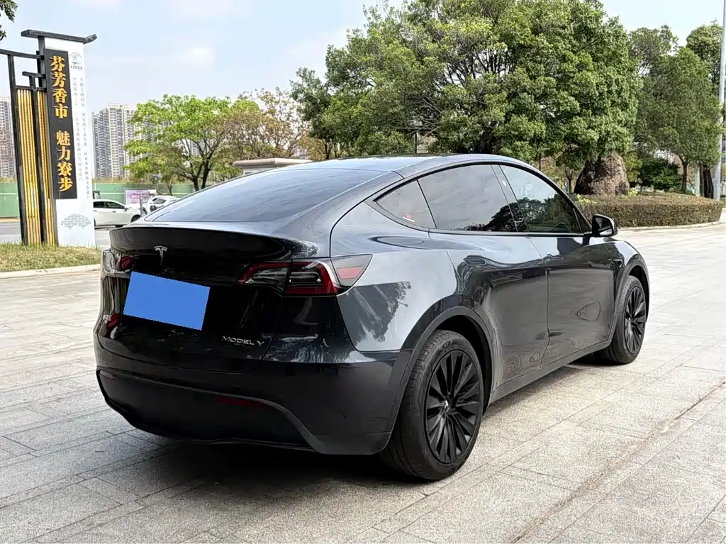 Model Y 2024 rear-wheel drive version купить на сайте DeffCars