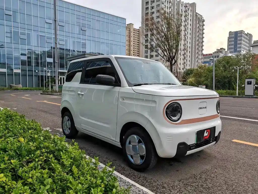 Panda 2024 Panda mini 200km endurance bear купить на сайте DeffCars