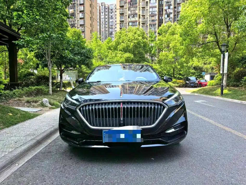 Hongqi H5 2019 30TD dynamic version купить на сайте DeffCars