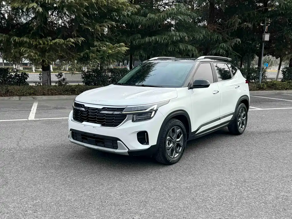 Sethus 2023 1.5L CVT Deluxe Edition купить на сайте DeffCars