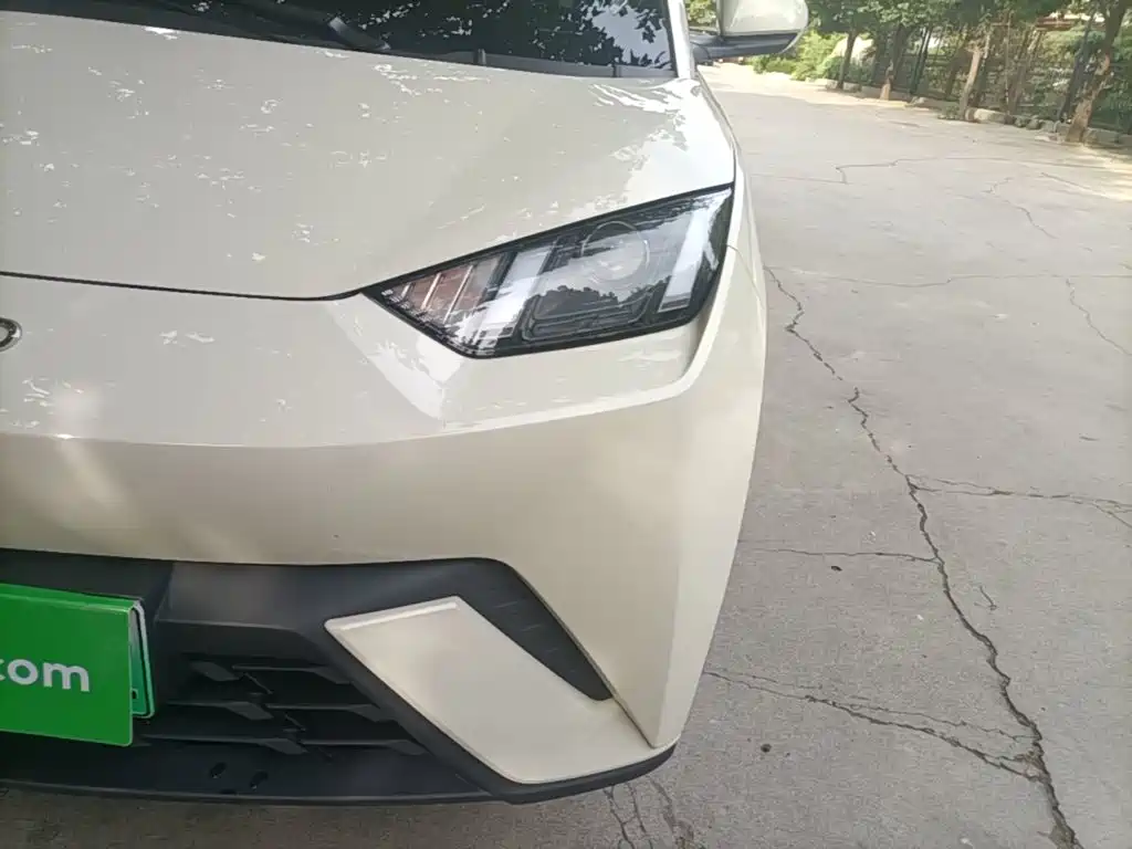 Seagull 2023 Vitality Edition купить на сайте DeffCars