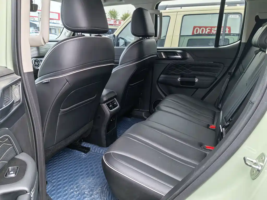 Tank 300 2021 2.0T Fenglin Iron Cavalry купить на сайте DeffCars