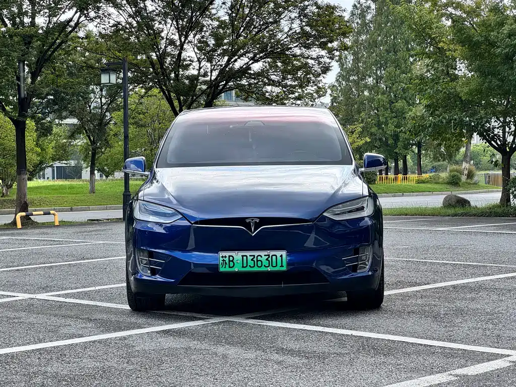 Model X 2020 long battery life upgraded version купить на сайте DeffCars