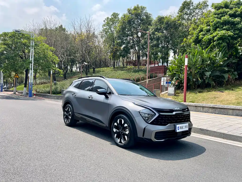 Lion Platinum expands the world 2023 2.0T two-wheel drive flagship version купить на сайте DeffCars
