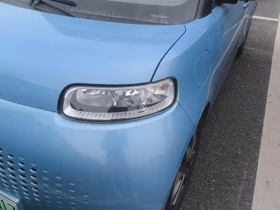 Euler White Cat 2020 401km flagship model купить на сайте DeffCars