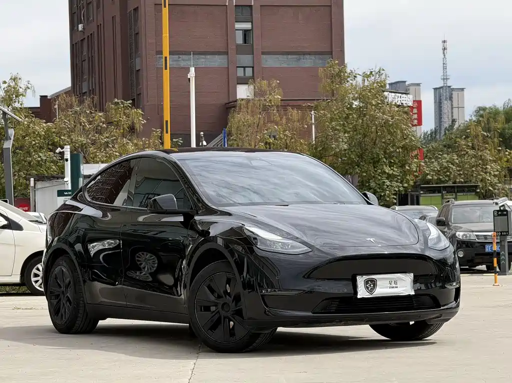 Model Y 2023 long-range all-wheel drive version купить на сайте DeffCars