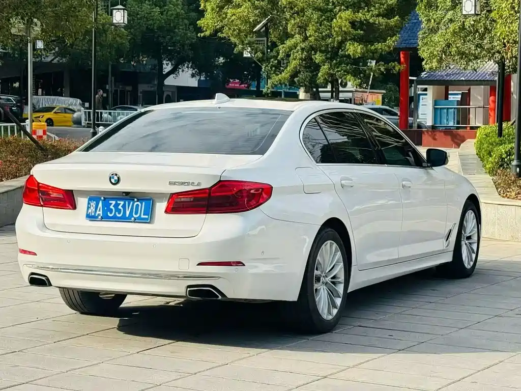 BMW 5 Series 2020 530Li Exclusive Luxury Package купить на сайте DeffCars