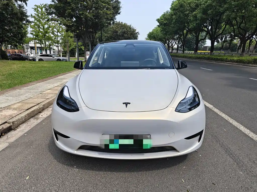 Model Y 2024 rear-wheel drive version купить на сайте DeffCars