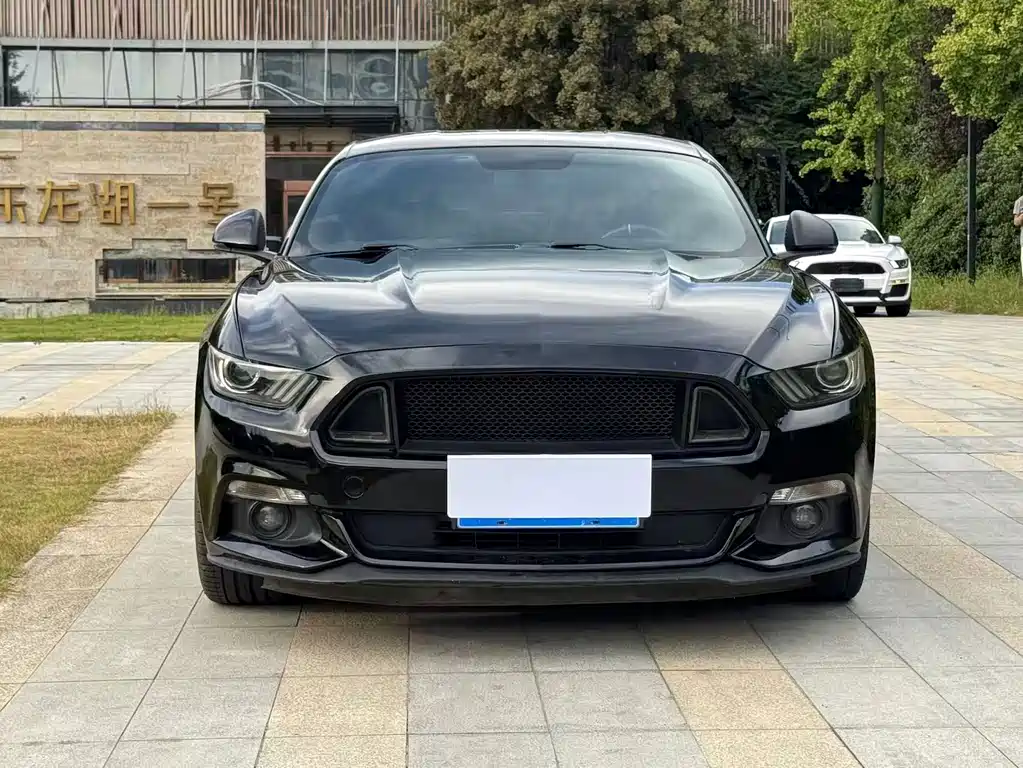 Mustang 2015 2.3T Performance Edition купить на сайте DeffCars