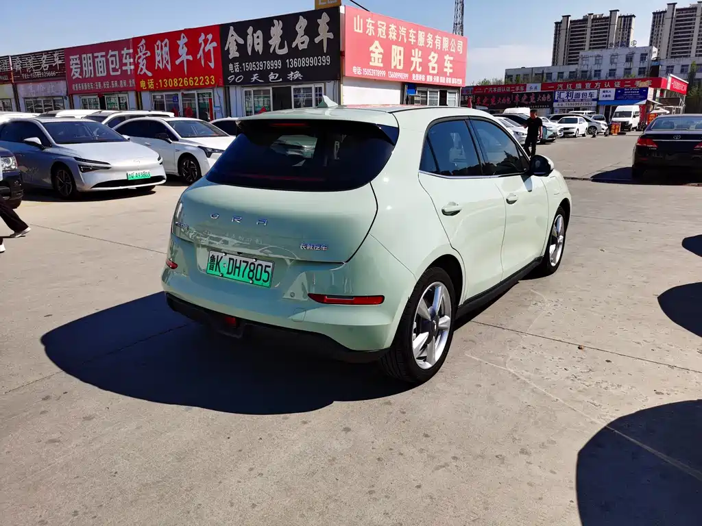 Euler Good Cat 2023 Model 401km Standard Range Honor Type Lithium Iron Phosphate купить на сайте DeffCars