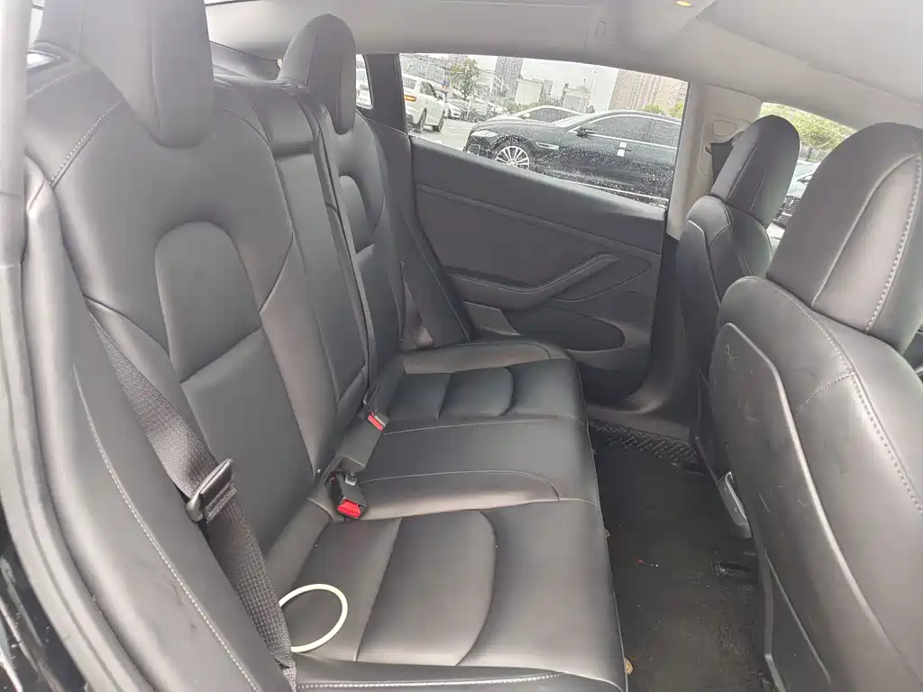 Model 3 2022 rear-wheel drive version купить на сайте DeffCars