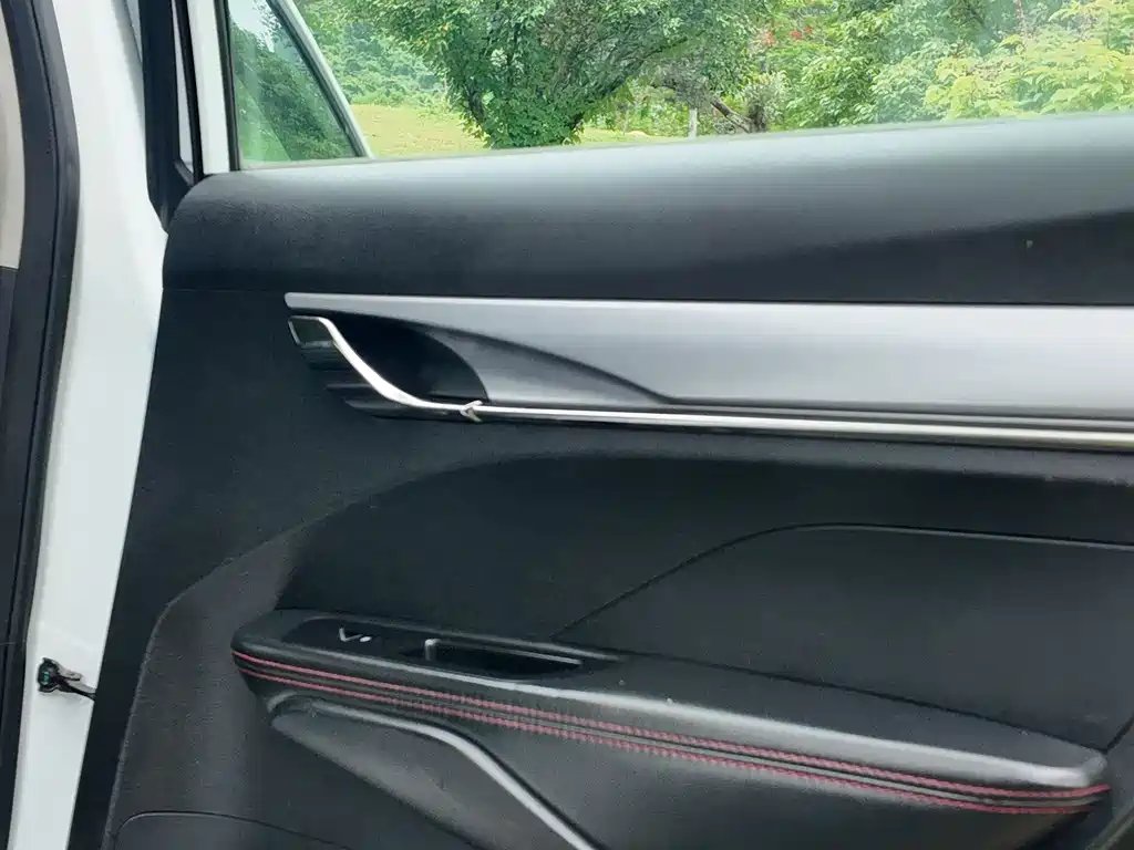 Binrui 2019 200T DCT Binchi Edition купить на сайте DeffCars