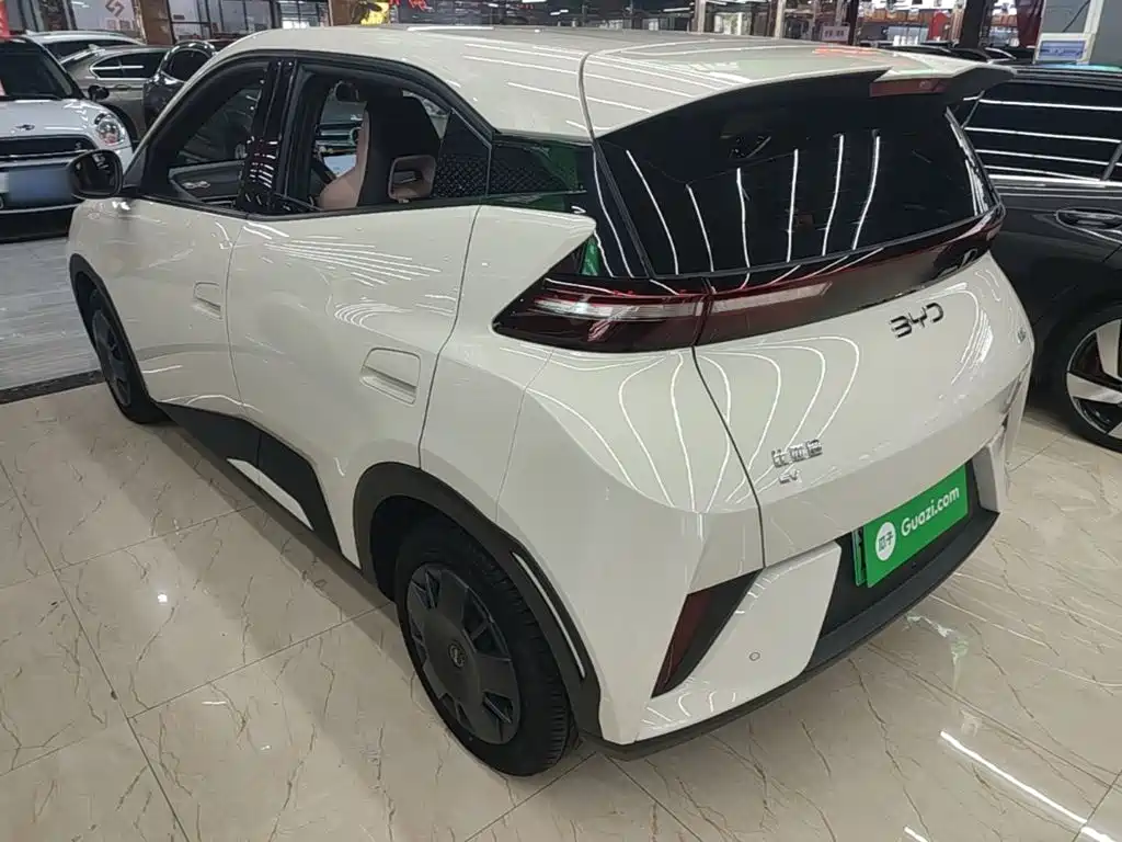 Seagull 2025 Smart Driving Edition 305km Dynamic купить на сайте DeffCars