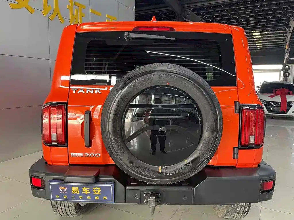 Tank 300 2021 Off-Road Version 2.0T Conqueror купить на сайте DeffCars