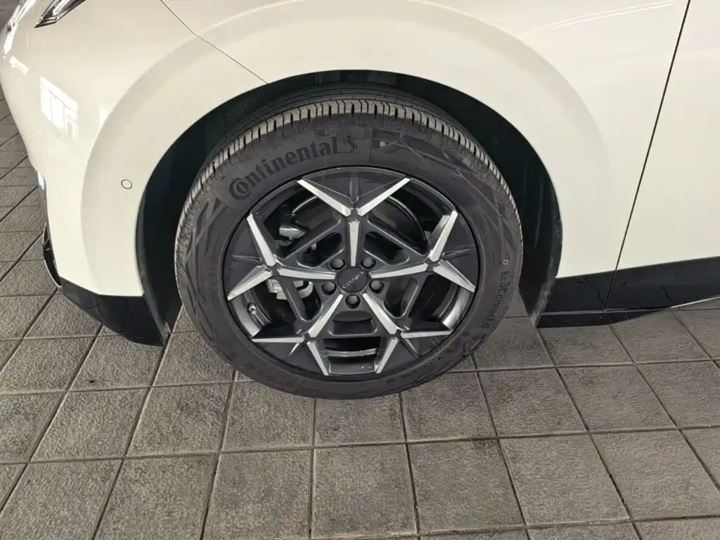 Link CO Z20 2025 530km Rear Drive Max купить на сайте DeffCars