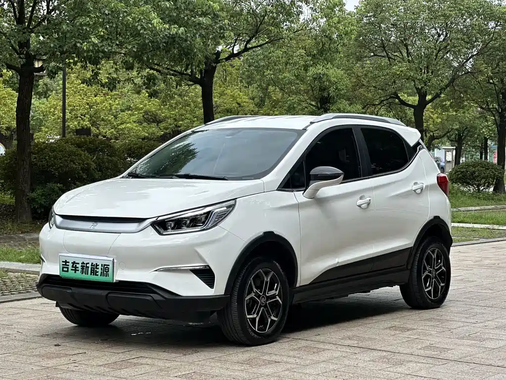 Yuan Pro 2021 401KM luxury model купить на сайте DeffCars