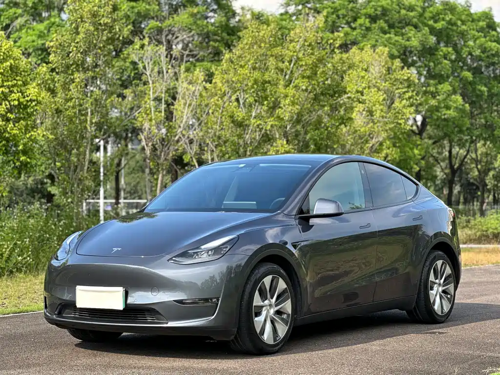 Model Y 2021 long-range all-wheel drive version купить на сайте DeffCars