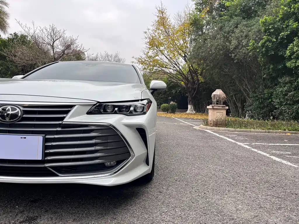 Asia Dragon 2019 2.0L Deluxe Edition National VI купить на сайте DeffCars