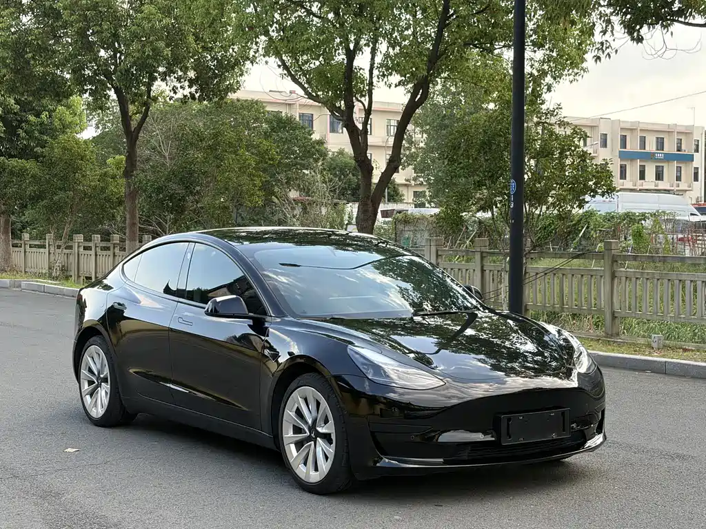 Model 3 2022 rear-wheel drive version купить на сайте DeffCars