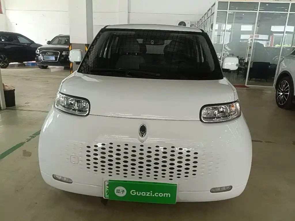 Euler White Cat 2020 360km luxury model купить на сайте DeffCars