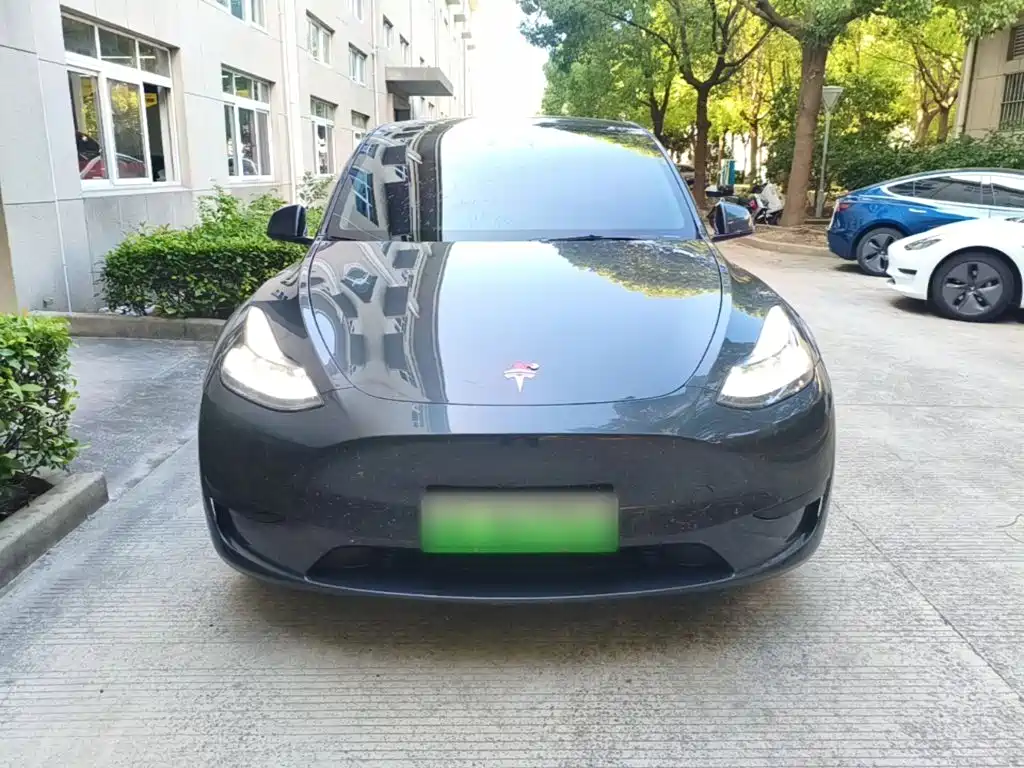 Model Y 2024 rear-wheel drive version купить на сайте DeffCars